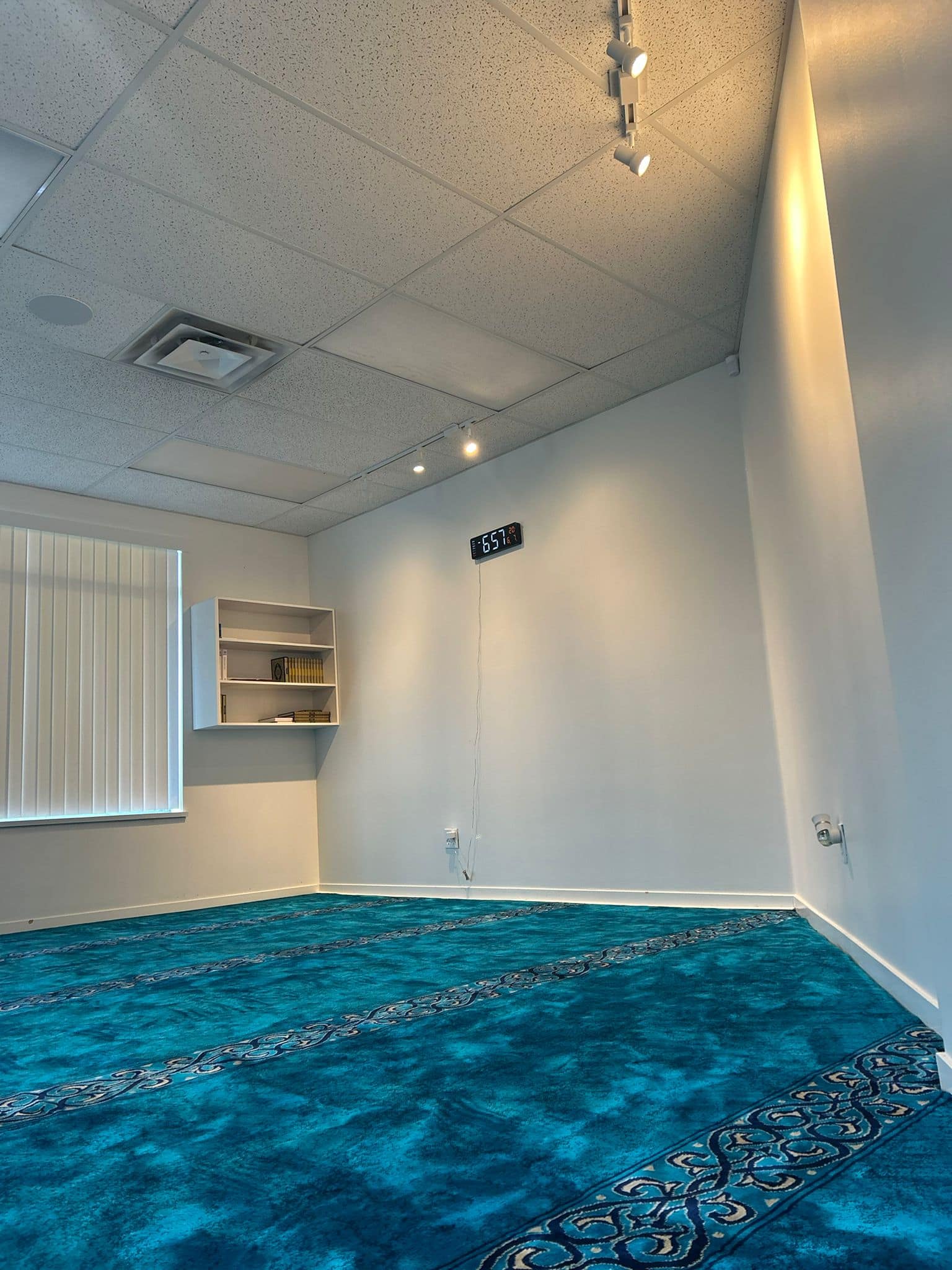 Main prayer hall with blue patterned carpet